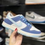Nike Dunk Low SB Pro Jeans Glow